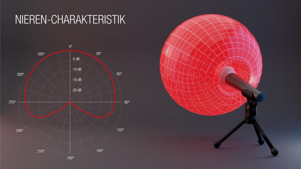 Nierencharakteristik