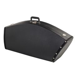 Cases/Bags for  Baritone.