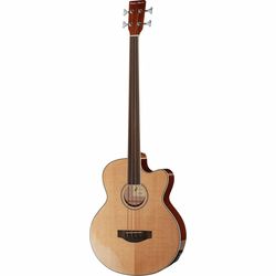 Fretless Acoustic Basses