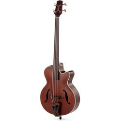 Acoustic & Semi-Acoustic Basses