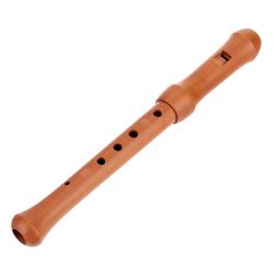 Miscellaneous Flutes and Recorders