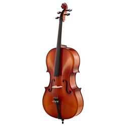 Violoncelles Acoustiques