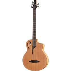 Acoustic & Semi-Acoustic Basses