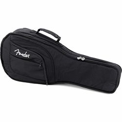 Other Fretted Instrument Cases & Bags