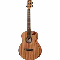 4-String Acoustic Basses
