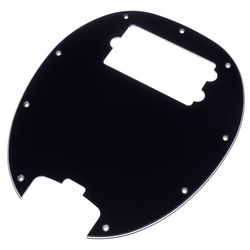 Misc. Pickguards for Bass + Accessories