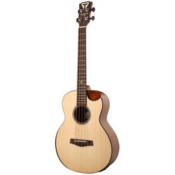4-String Acoustic Basses