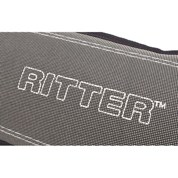 Ritter RGS3 Electric Guitar SGL