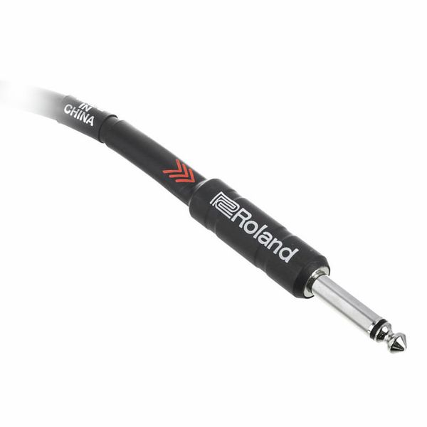 Roland RIC-B20