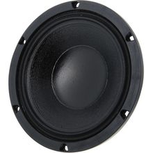 8 inch loudspeakers