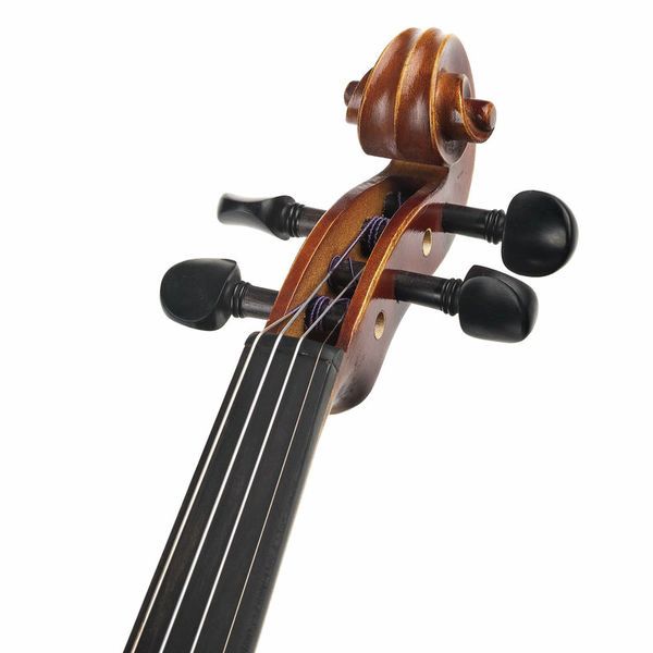 Roth & Junius RJV-S Student Violin Set 4/4
