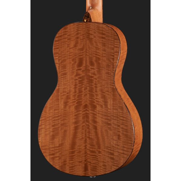 Paramount Little Wing Tiger Maple