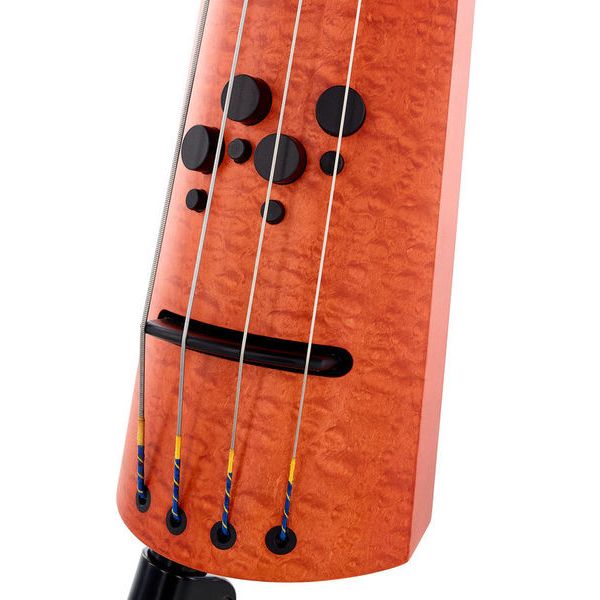 NS Design CR4M-DB Quilted Maple Bass