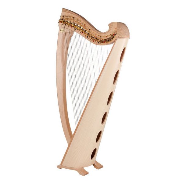 custom lyon healy harp