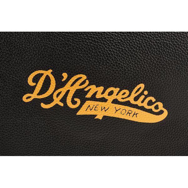 DAngelico Deluxe DC Case